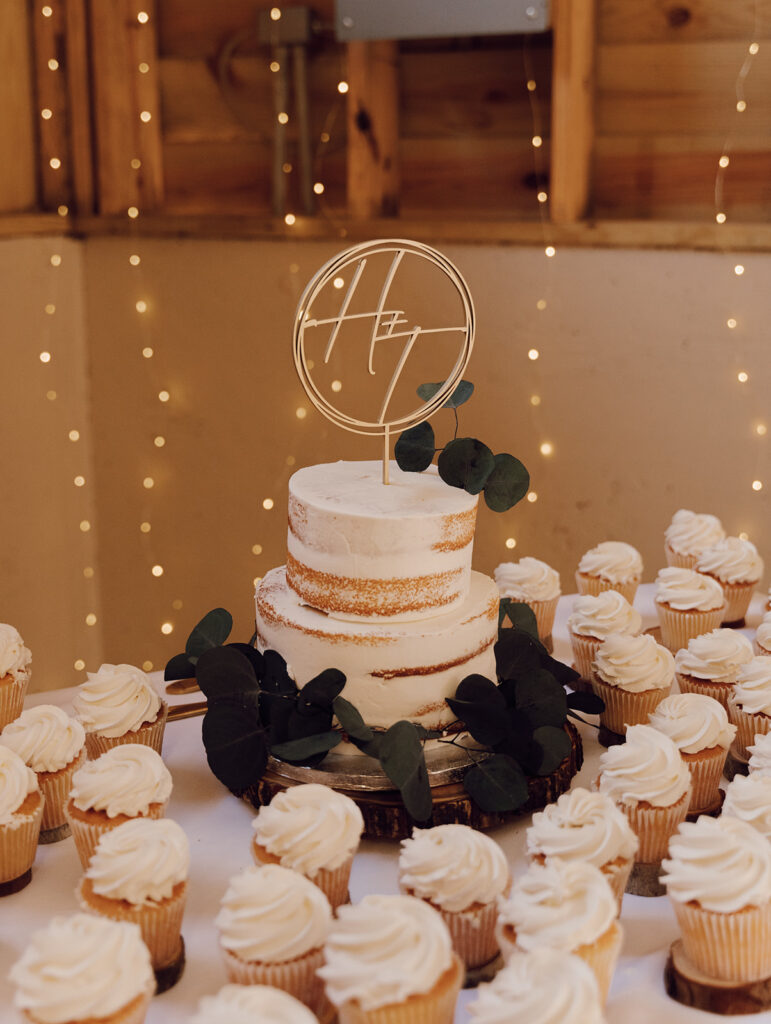 wedding reception photos with cake