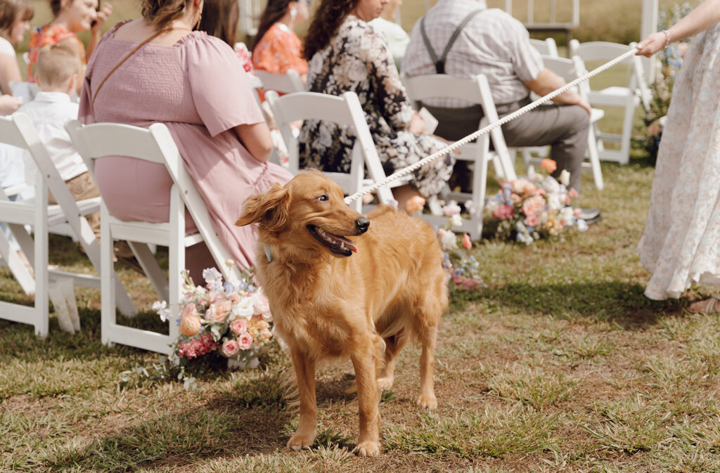 Georgia wedding ceremony with dog