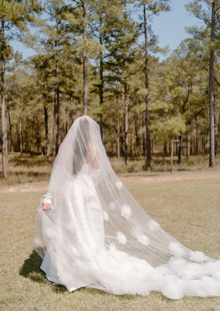 bride with veil