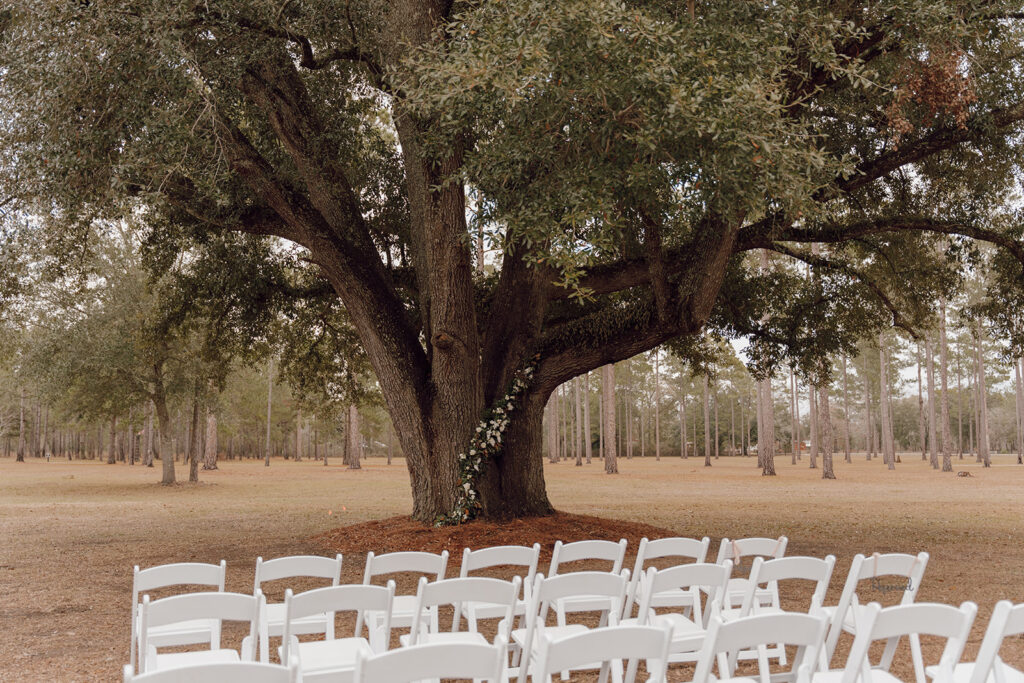 mount pleasant lodge wedding ceremony