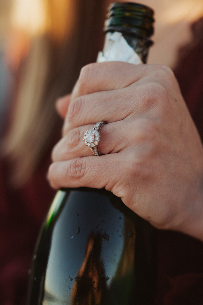 Great Smoky Mountain Engagement Photos in Foothills Parkway