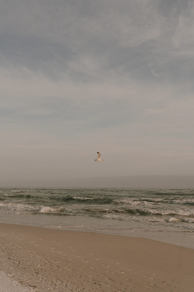 dreamy beach wedding photos with the bride and groom