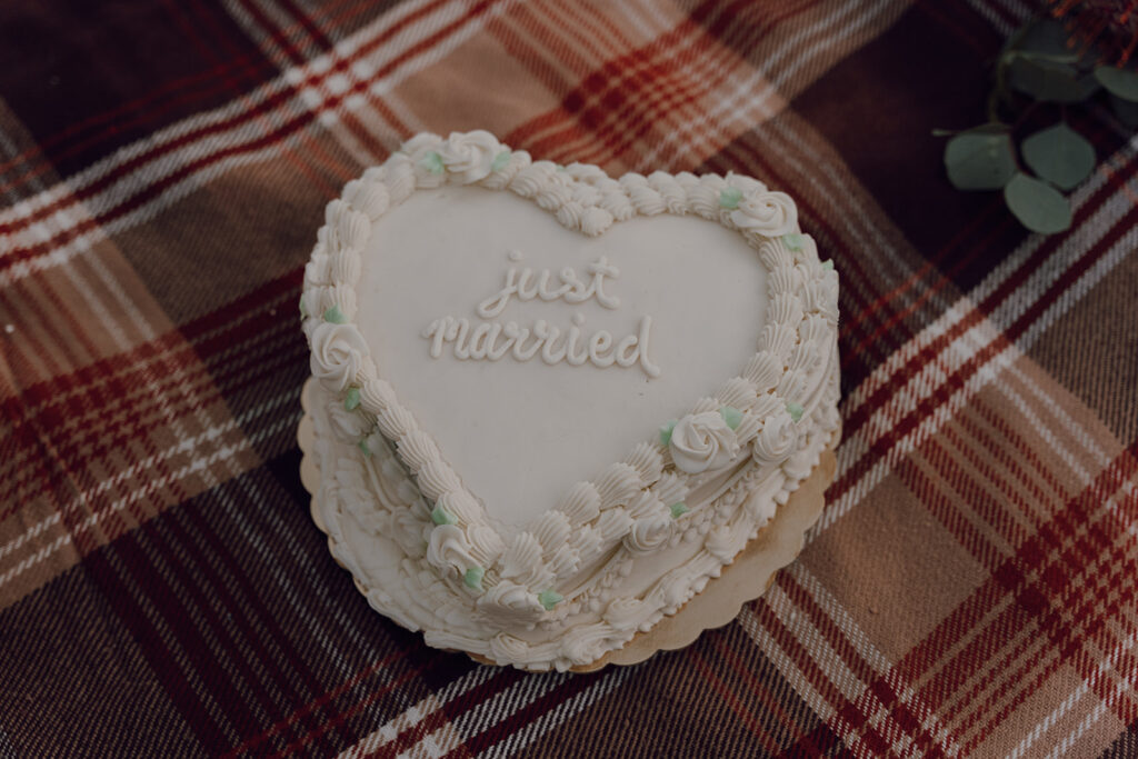 just married heart shaped cake on picnic blanket