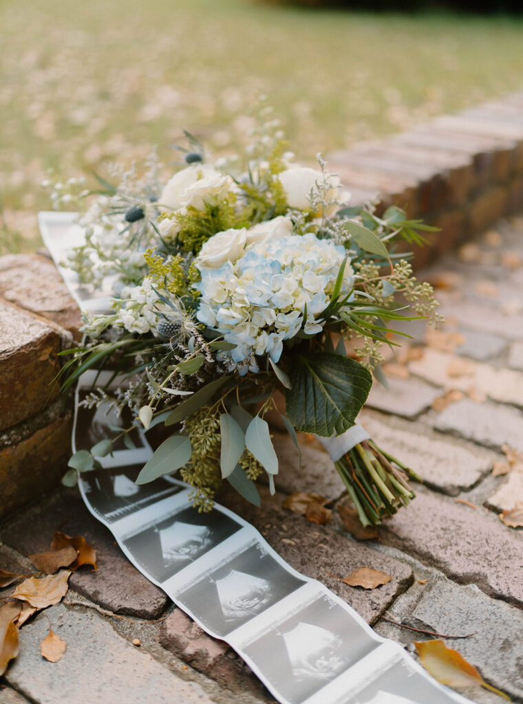Alfred B Maclay Gardens State Park photos of a blue bouquet and ultrasound photo strip.